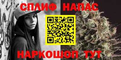 мет Можга