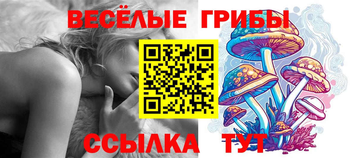 Славгород  Вход с VPN  МЕТАМФЕТАМИН  ГАШИШ  Меф кристаллы  Cocaine  Бошки Шишки 