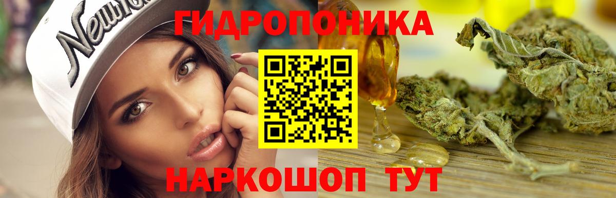 Каннабис сатива  Вход с VPN  МАРИХУАНА планчик  Каннабис Bruce Banner  Славгород 